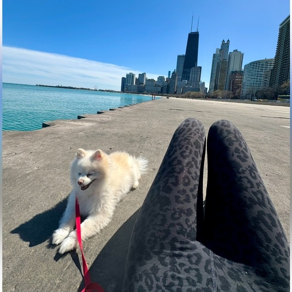 LNA Revolve Leopard Leggings XS
High Rise Gray Black - Picture 4 of 5